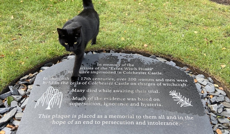 A black cat walks on the witch memorial in Castle Park